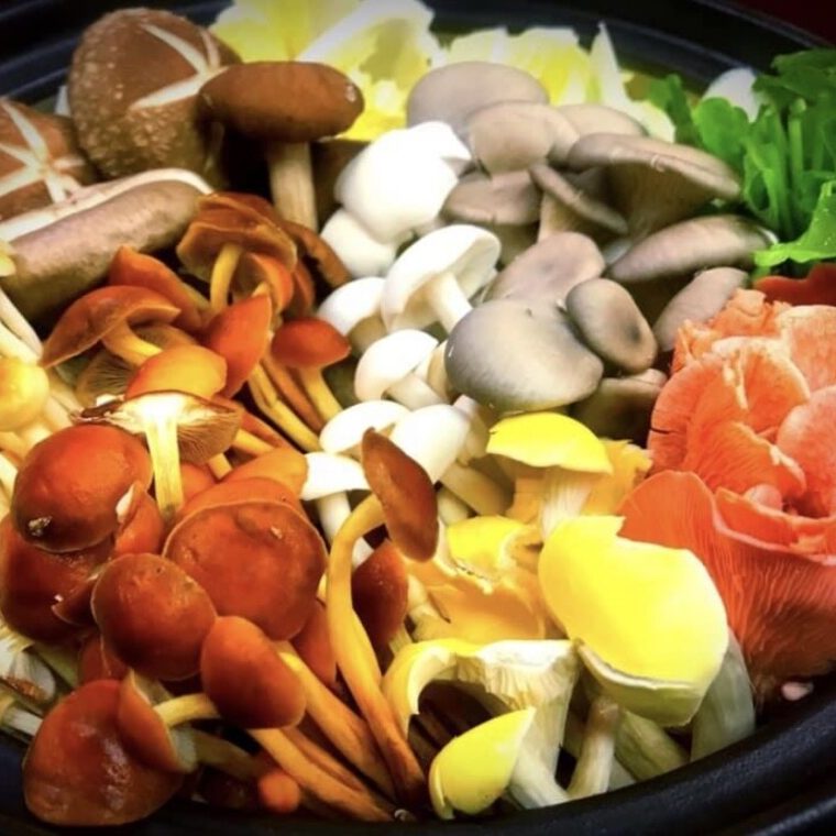 Shabu-shabu with fresh mushrooms